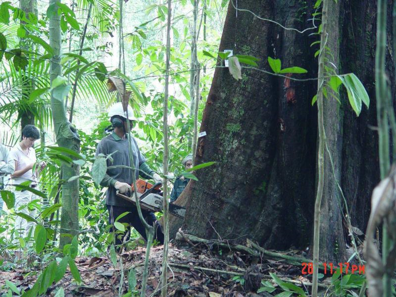 Intipati Belanjawan 2020 - Semasa  mStar