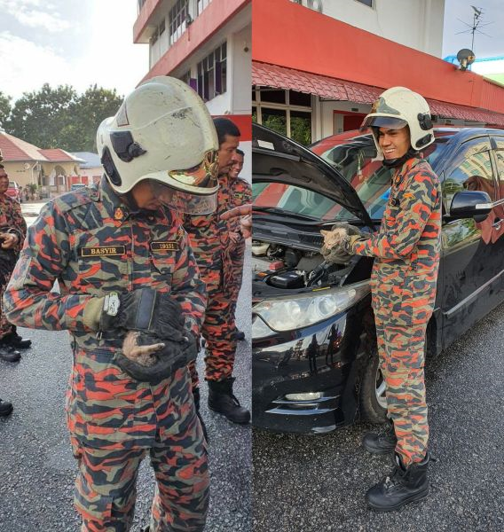 Ada Kucing Dalam Kereta Minta Semua Bersedia Siap Bunyi Siren 8 Hero Avengers Lengkap Uniform Bomba Settle Masalah Tak Sampai Seminit Viral Mstar