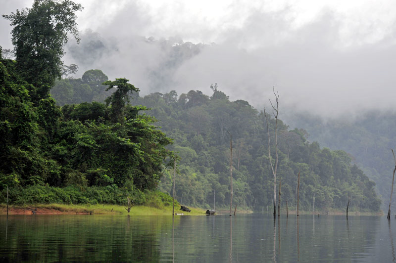 tasik temenggor