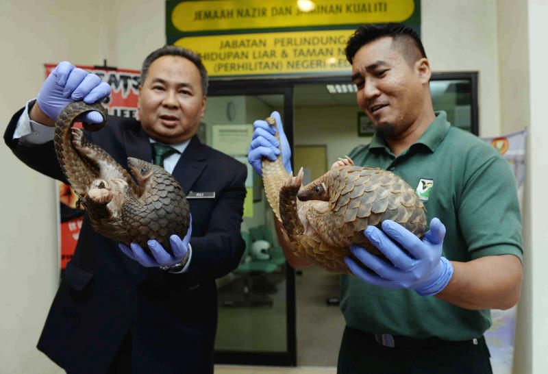 Wabak penyakit antara 6 tanda akhir zaman, azab dari kejahatan 