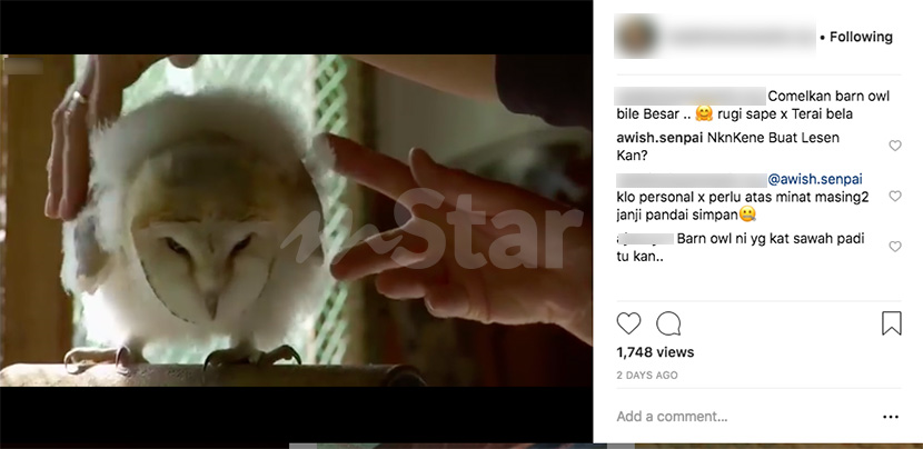 Ditanya Tak Bahaya Ke Si Peniaga Selamba Jawab Kena Pandai Handle Viral Mstar