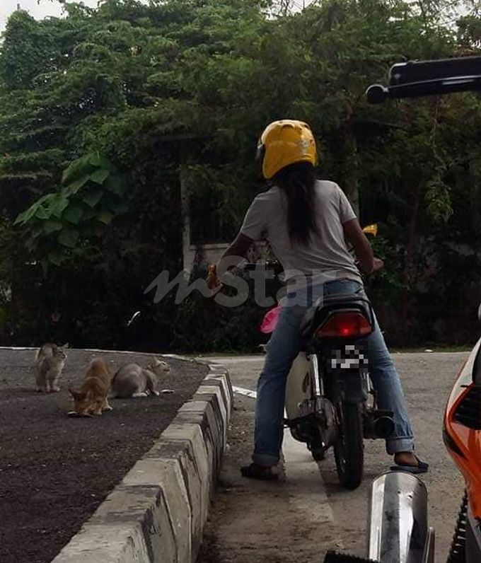 Selekeh, tak berduit tapi disayangi kucing, anjing jalanan 