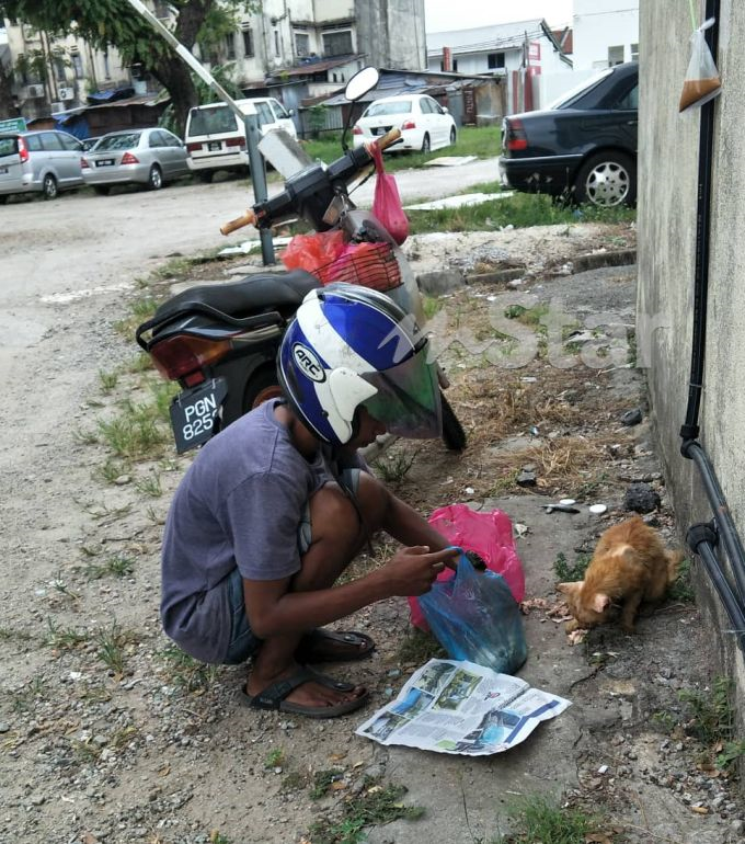 Anjing, kucing jalanan makan u0027mewahu0027 kerana lelaki ini berhutang 