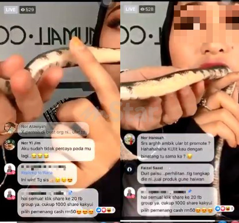 Kecoh Reviu Produk Guna Ular Aksi 2 Gadis Ini Bikin Ramai Berang Dah Tak Ada Manusia Ke Nak Dijadikan Model Viral Mstar