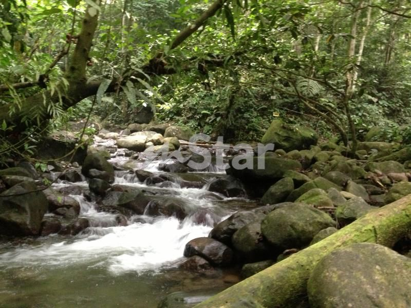 Melintang hutan waktu solat Ilmu Falak