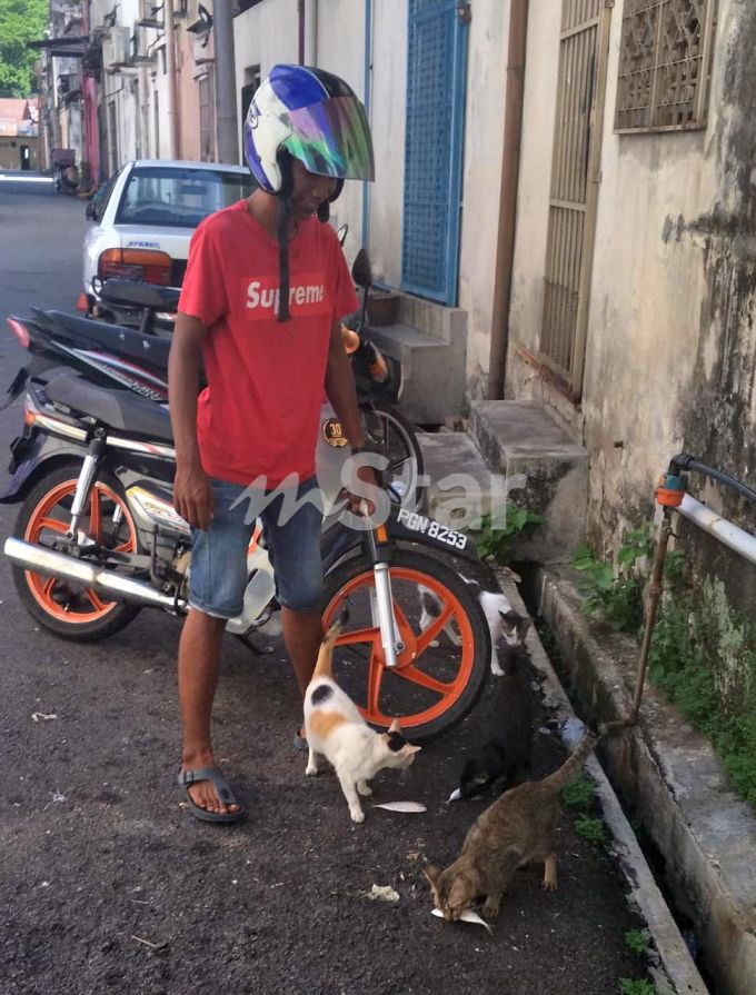 Anjing, kucing jalanan makan u0027mewahu0027 kerana lelaki ini berhutang 