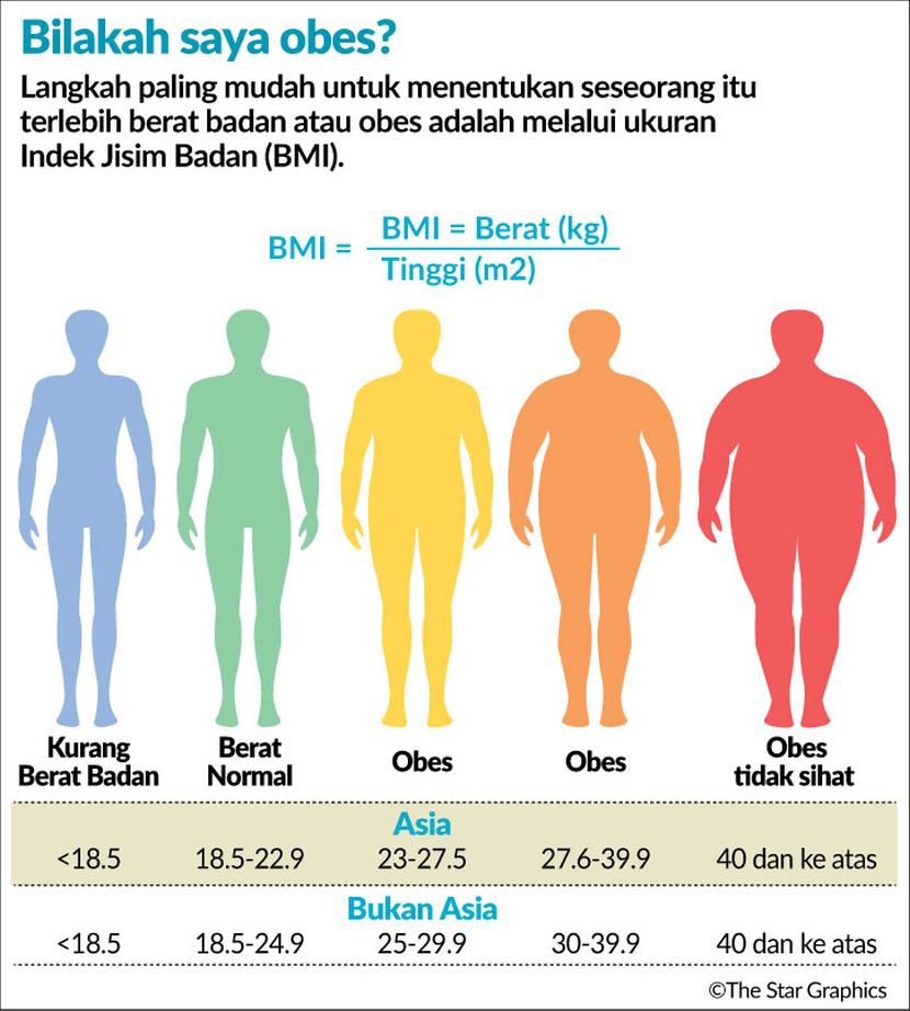 Obesiti… ketahui cara mengurusnya - Famili | mStar