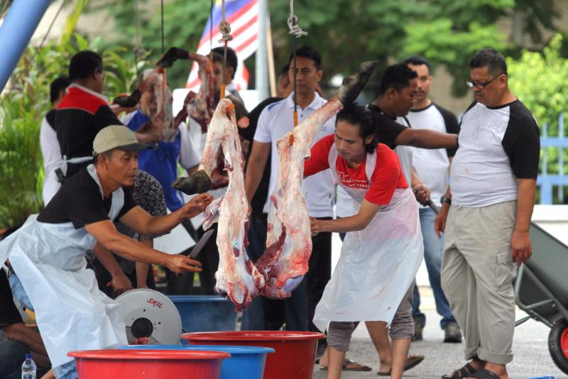 Setiap Helai Bulu Haiwan Diberi Allah 1 Kebaikan Lakukanlah Ibadah Korban Ad Din Mstar