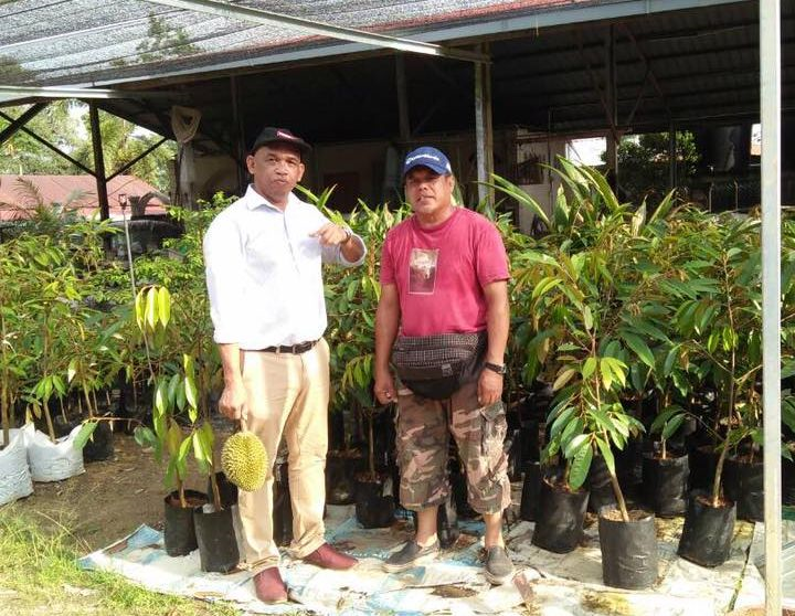 Enggan Mengemis Bekas Wartawan Jual Pokok Langsai Hutang Semasa Mstar