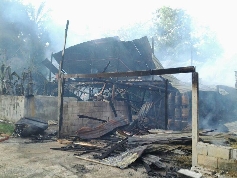 Lebih 10 000 Ayam Mati Terbakar Semasa Mstar