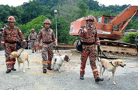 BANTUAN... Anggota pasukan Bomba dan Penyelamat menggunakan bantuan anjing dalam operasi mencari dan menyelamat (SAR) mangsa kejadian tanah runtuh di Bukit Antarabangsa, Hulu Klang hari ini. Kira-kira 500 anggota pasukan keselamatan terdiri daripada Polis, Bomba, Jabatan Pertahanan Awam dan Angkatan Tentera Malaysia berada di kawasan kejadian bagi membantu usaha-usaha mencari, menyelamat serta membersihkan runtuhan. - fotoBERNAMA