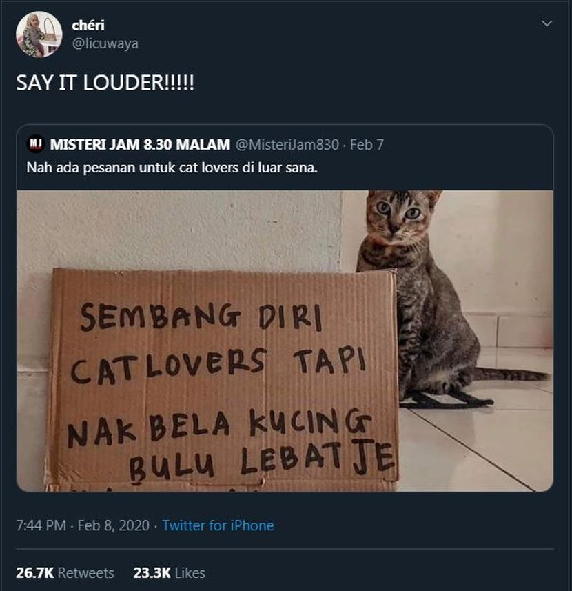 Mengaku cat lovers tapi tengok kucing jalanan nampak jijik, rasis 