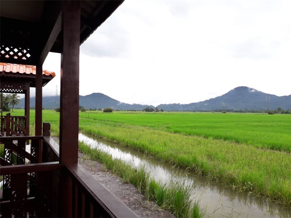 7 Aktiviti Di Teratak Toksu Hilang Stress Tengah Sawah Rm80 Je Destinasi Mstar