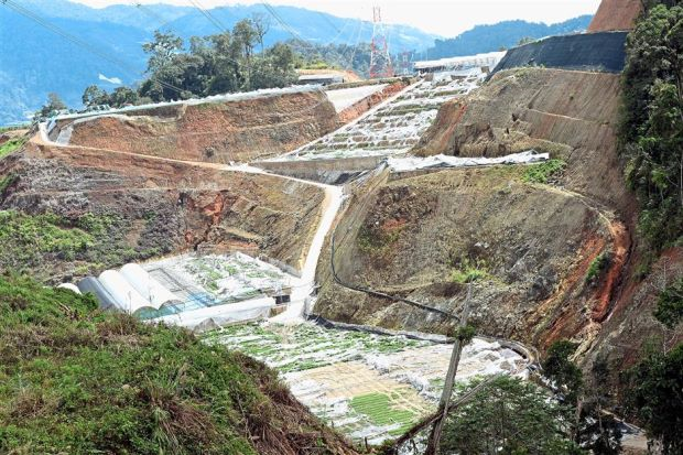 Penerokaan Haram Di Cameron Highland Aktif Semula Semasa Mstar