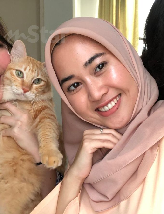 Kucing tu nampak apa kat rumah kosong tiap hari lepak situ 