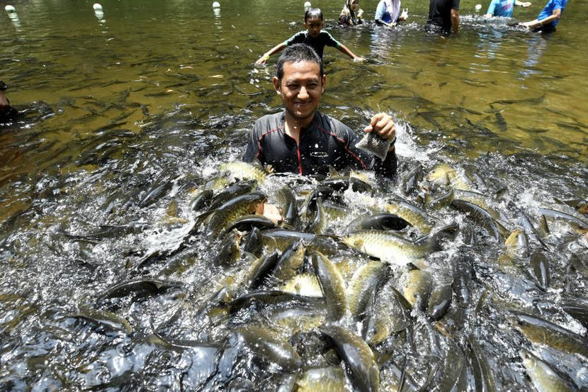 Penemuan Manusia Purba Bewah Man Bukti Tasik Kenyir Unik Destinasi Mstar