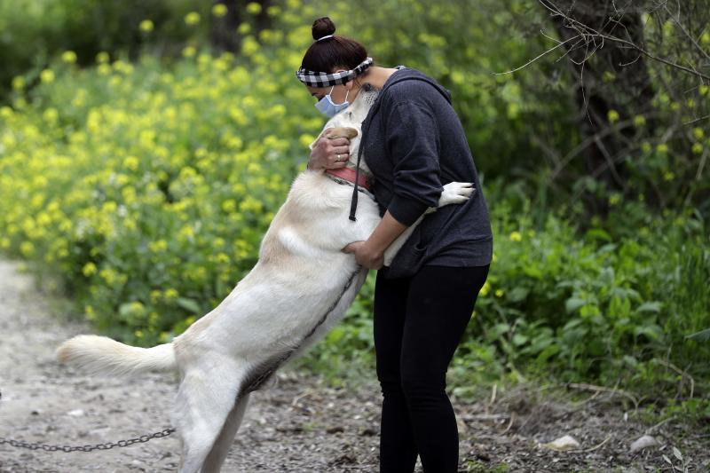 Klinik Veterinar Muezza Now Closed Gombak Kuala Lumpur Kuala Lumpur 3 Tips From 352 Visitors