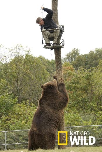 Nat Geo WILD telah bersedia untuk membawakan keseronokkan menonton kepada rakyat Malaysia dan berpeluang menyaksikan menyelami kehidupan haiwan-haiwan liar. - Foto ihsan Astro