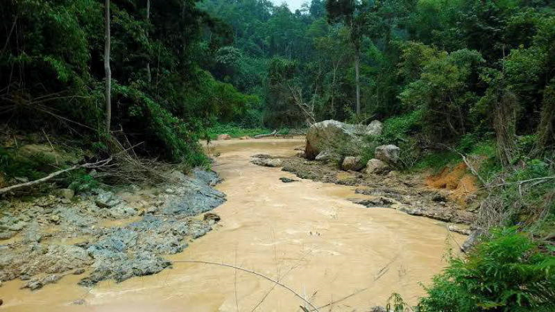 Kanak Kanak Hilang Masyarakat Orang Asli Sendiri Terus Berteka Teki Semasa Mstar