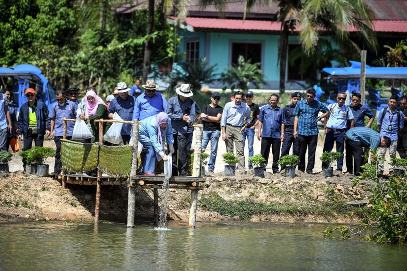 Wow 66 Program Utama Luar Bandar Catat Kejayaan 95 Peratus Klik Mstar