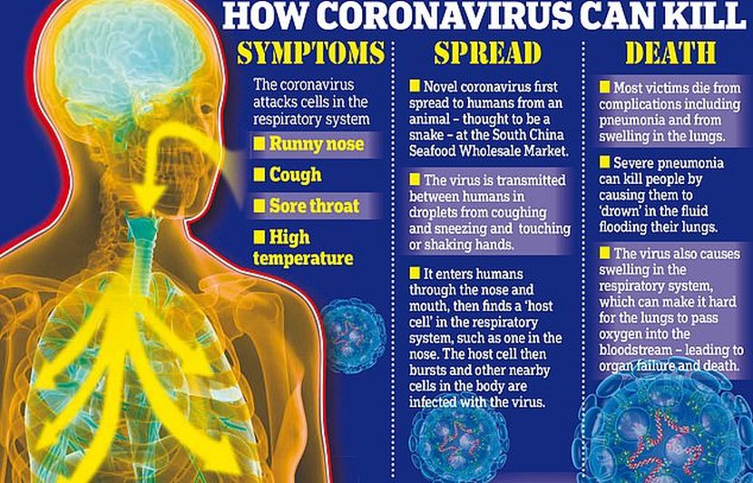 Tempoh covid dalam badan