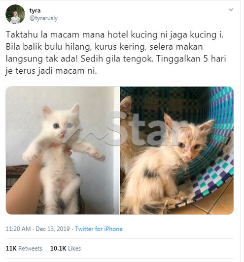 Serik! Masa hantar montel, apabila ambil dah kurus dan lemah 