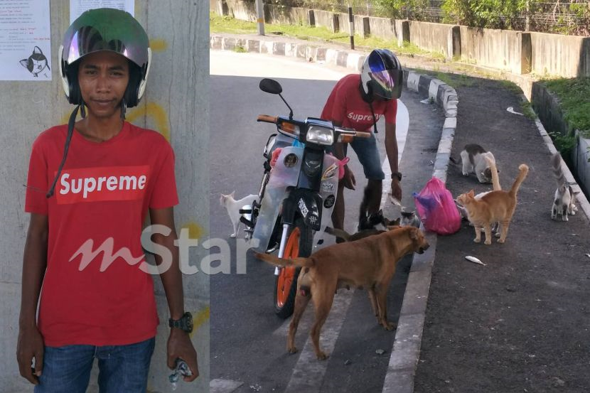 Anjing, kucing jalanan makan 'mewah' kerana lelaki ini berhutang